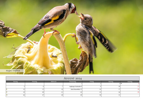 Naturfotografie.de - Kalender - Natur für Zuhause
