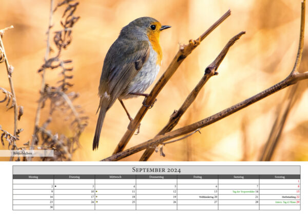 Naturfotografie.de - Kalender - Natur für Zuhause