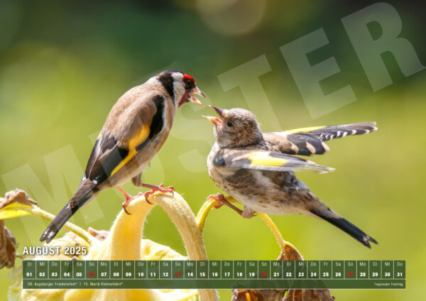 Kalender 2025 Nature von naturfotografie.de