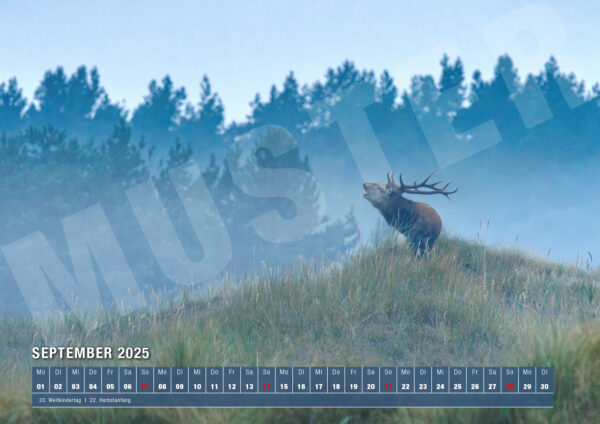 Kalender 2025 Nature von naturfotografie.de