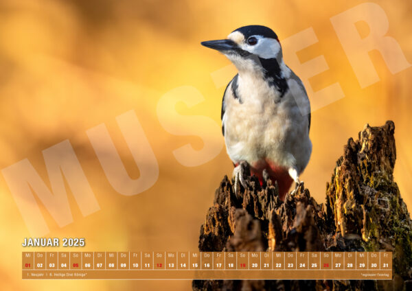 Kalender 2025 Nature von naturfotografie.de