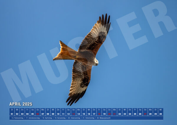 Kalender 2025 Nature von naturfotografie.de