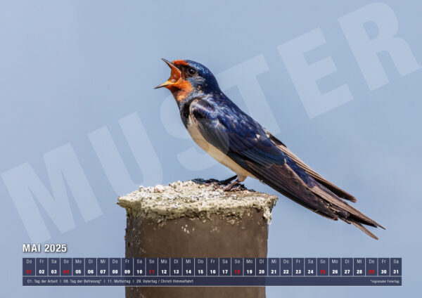 Kalender 2025 Nature von naturfotografie.de