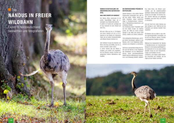 Zeitschrift Naturfotografie im Herbst und Winter von naturfotografie.de