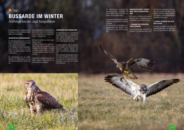 Zeitschrift Naturfotografie im Herbst und Winter von naturfotografie.de