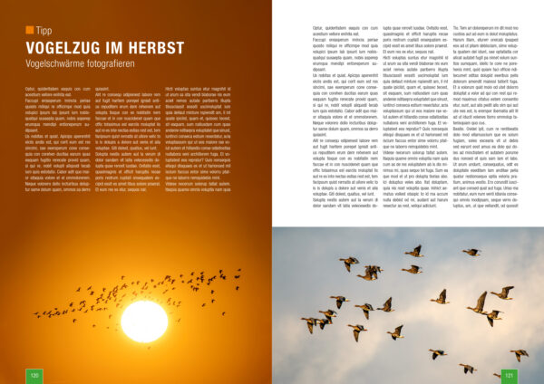 Zeitschrift Naturfotografie im Herbst und Winter von naturfotografie.de