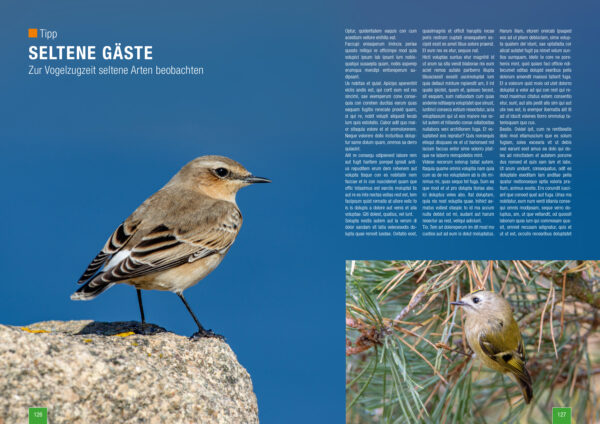 Zeitschrift Naturfotografie im Herbst und Winter von naturfotografie.de