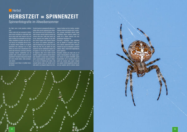 Zeitschrift Naturfotografie im Herbst und Winter von naturfotografie.de