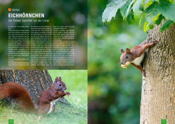 Zeitschrift Naturfotografie im Herbst und Winter von naturfotografie.de