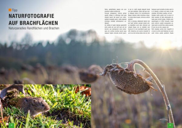 Zeitschrift Naturfotografie im Herbst und Winter von naturfotografie.de