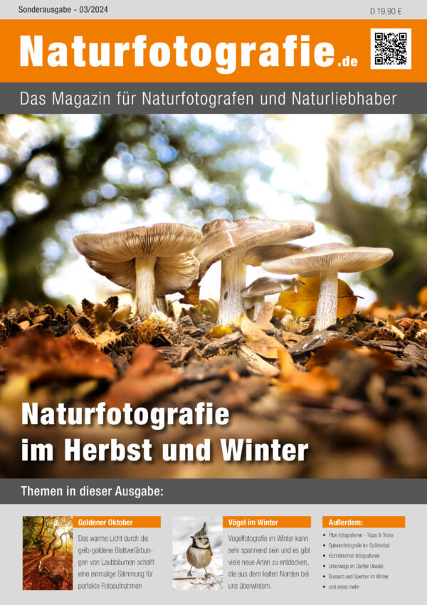 Zeitschrift Naturfotografie im Herbst und Winter von naturfotografie.de