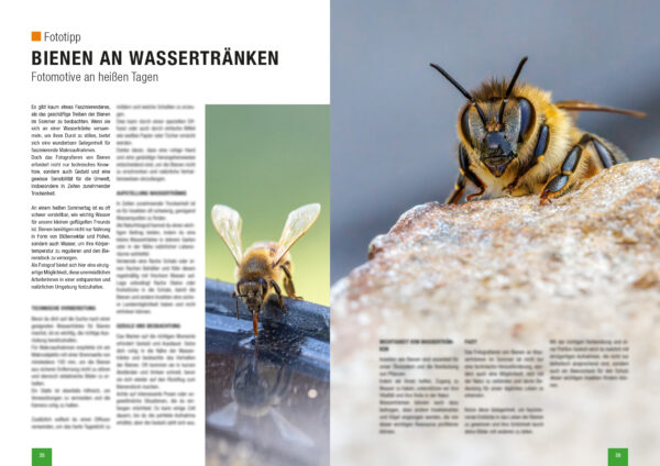 naturfotografie.de - Sonderausgabe Makrofotografie 2025