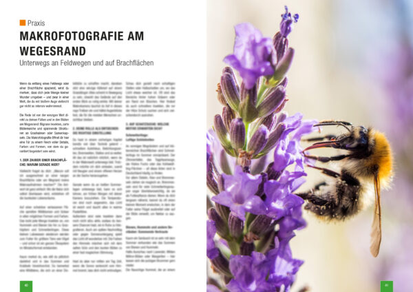 naturfotografie.de - Sonderausgabe Makrofotografie 2025