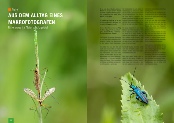 naturfotografie.de - Sonderausgabe Makrofotografie 2025