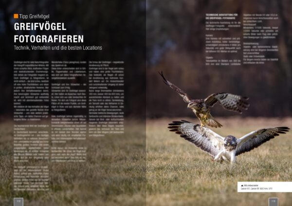 naturfotografie.de - Zeitschrift - Vogelfotografie 2025