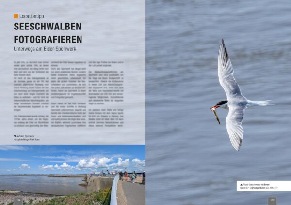 naturfotografie.de - Zeitschrift - Vogelfotografie 2025