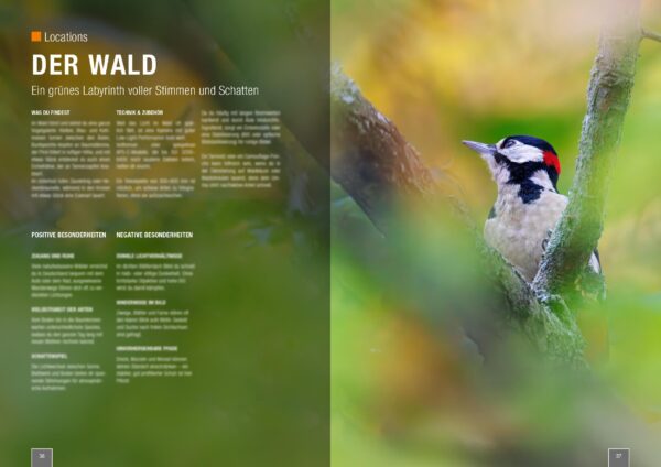 naturfotografie.de - Zeitschrift - Vogelfotografie 2025