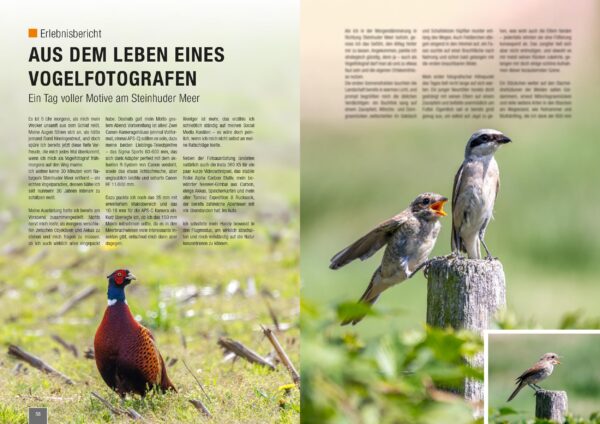 naturfotografie.de - Zeitschrift - Vogelfotografie 2025