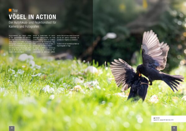 naturfotografie.de - Zeitschrift - Vogelfotografie 2025