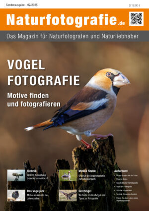 naturfotografie.de - Zeitschrift - Sonderausgabe 2025 Vogelfotografie