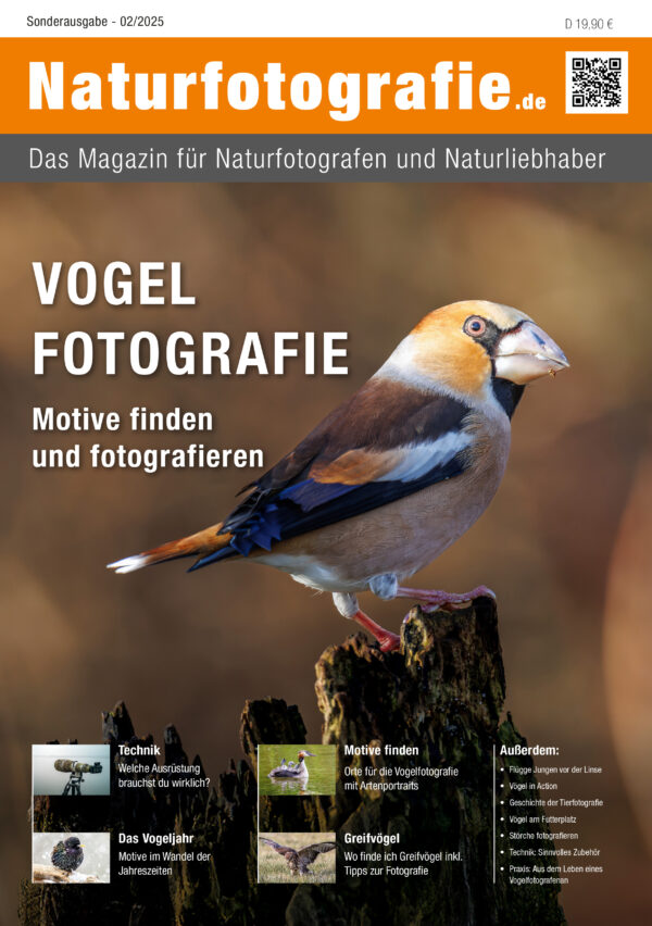naturfotografie.de - Zeitschrift - Sonderausgabe 2025 Vogelfotografie
