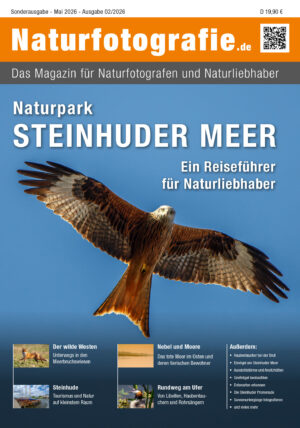 naturfotografie.de - Zeitschrift - Naturpark Steinhuder Meer