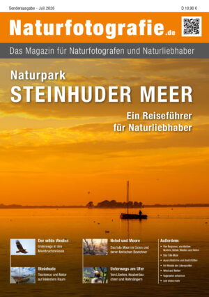 naturfotografie.de - Zeitschrift - Naturpark Steinhuder Meer
