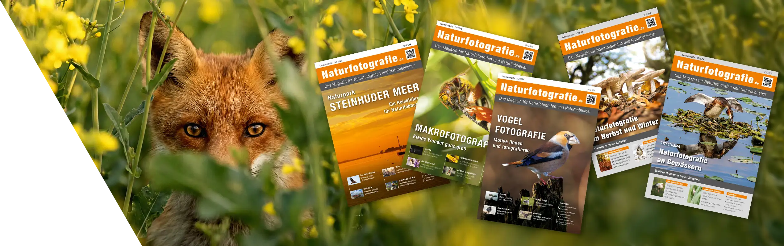 Naturfotografie.de - Shop - Sonderausgaben zum Lesen