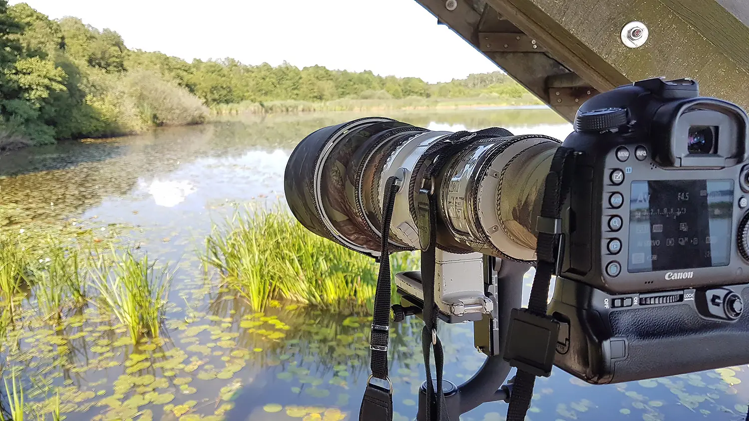 Naturfotografie.de - Häufige Fragen zur Naturfotografie - FAQ